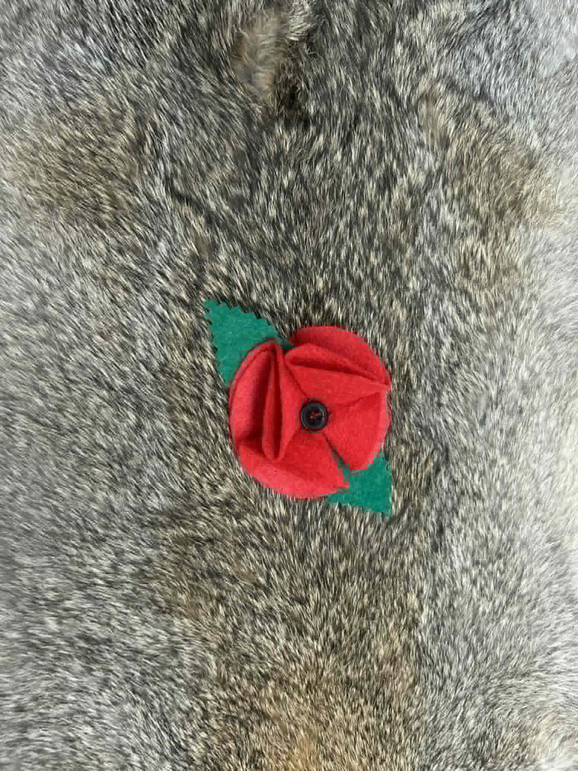 Felted Poppy